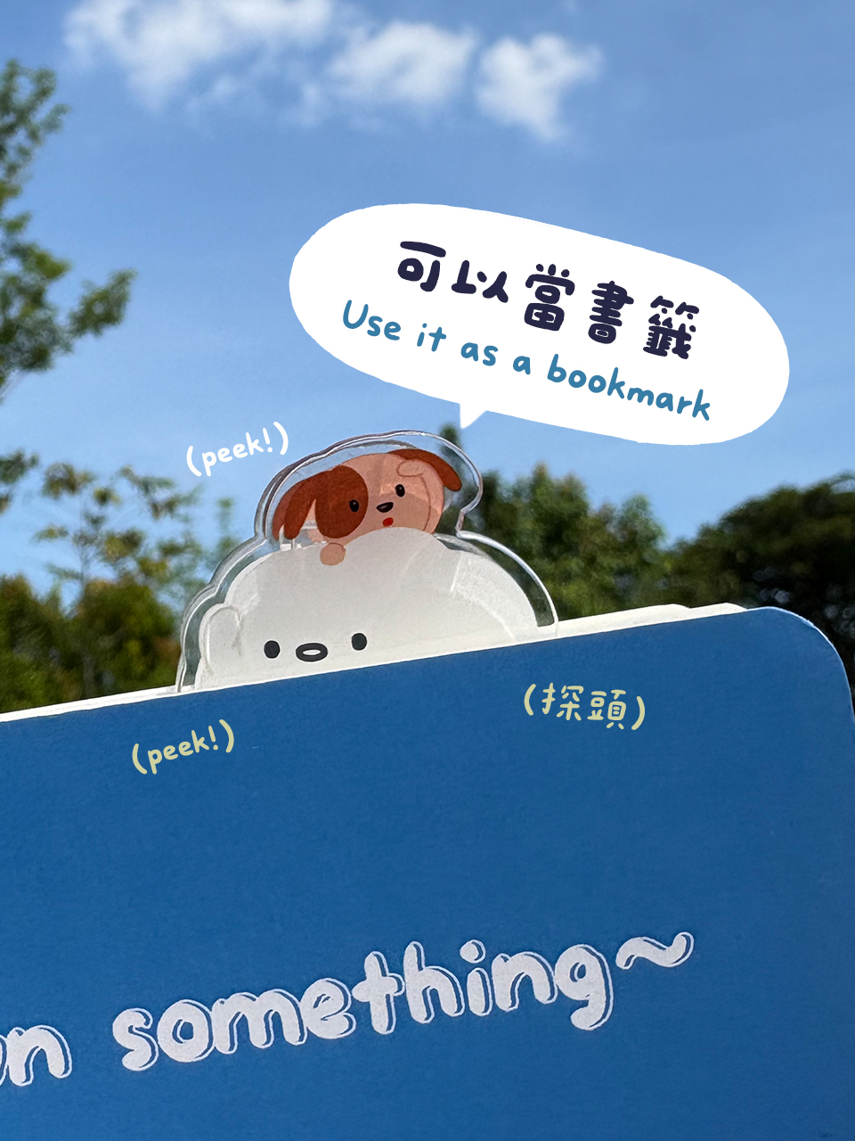 壓克力夾子組 壓克力夾子組